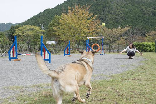 松阪わんわんパラダイス 森のホテル スメール【三重県】